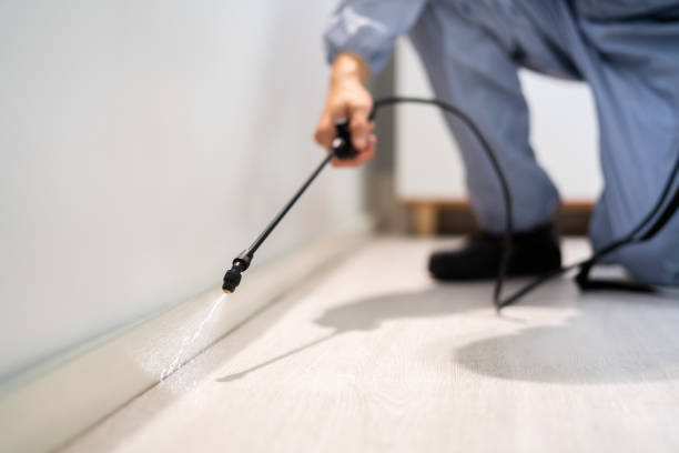Licensed Fumigation Services service in Franklin, NH - Nex Pest Control