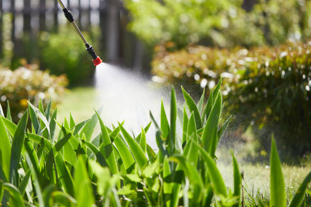 24/7 Emergency Fumigation Services experts in Franklin, NH