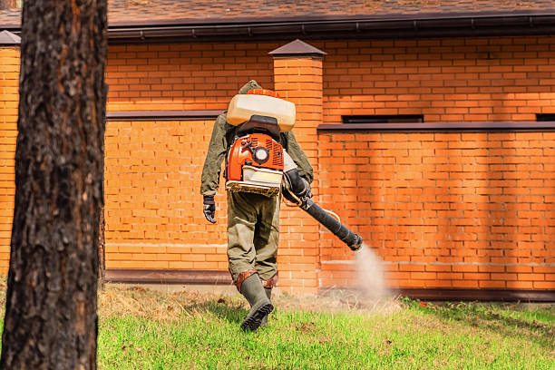Trusted Fumigation Services service in Franklin, NH - Nex Pest Control